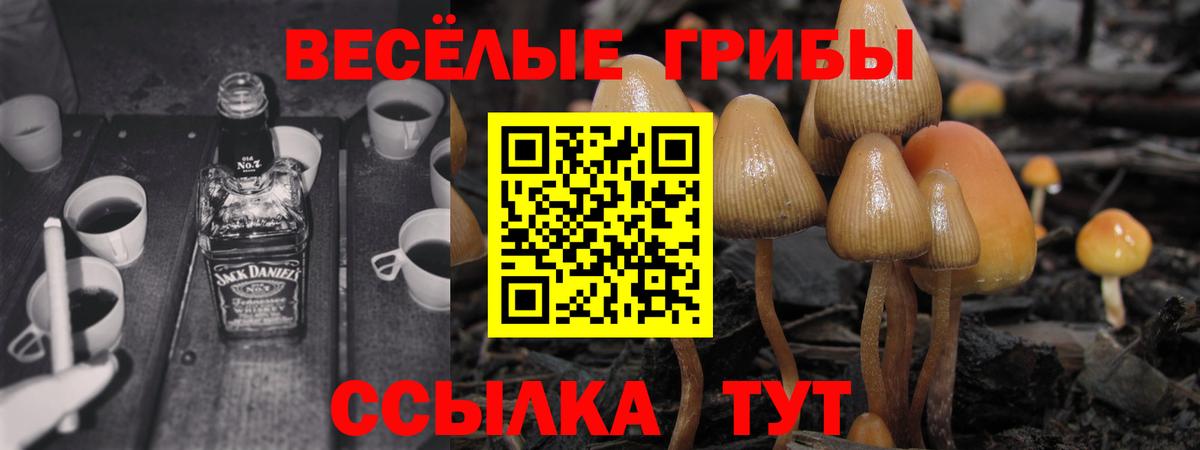 Галлюциногенные грибы MAGIC MUSHROOMS  Вход с VPN  Пенза 